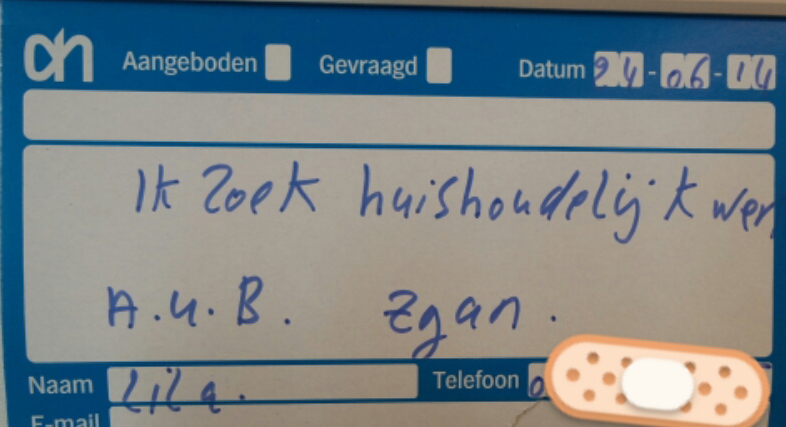 Werk gezocht, zgan