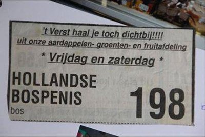 Hollandse bospenis