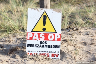 bos werkzaamheden